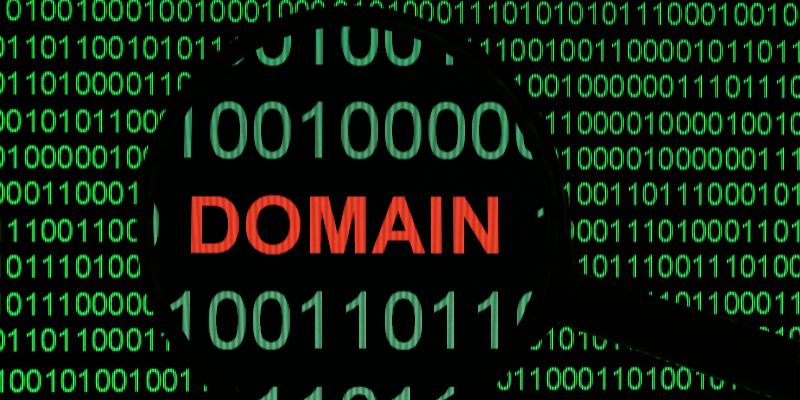 Need to find a domain age?