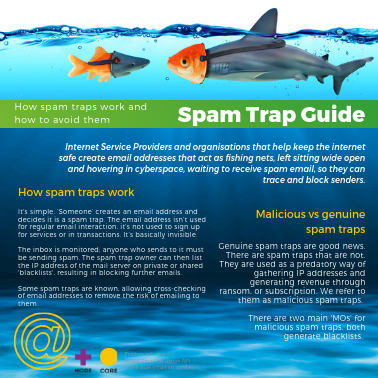 Spam Traps explained 