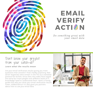 Email verification results explained 2020