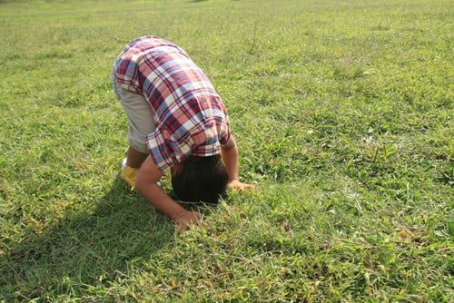 Child tumbling on grass depicting email tumbling