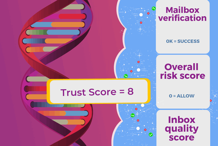 In email verification, what is the Email Hippo Trust Score?